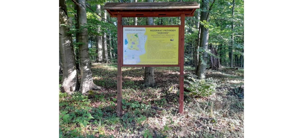 Warminskie Mieszkanko Biskupiec  Exterior foto